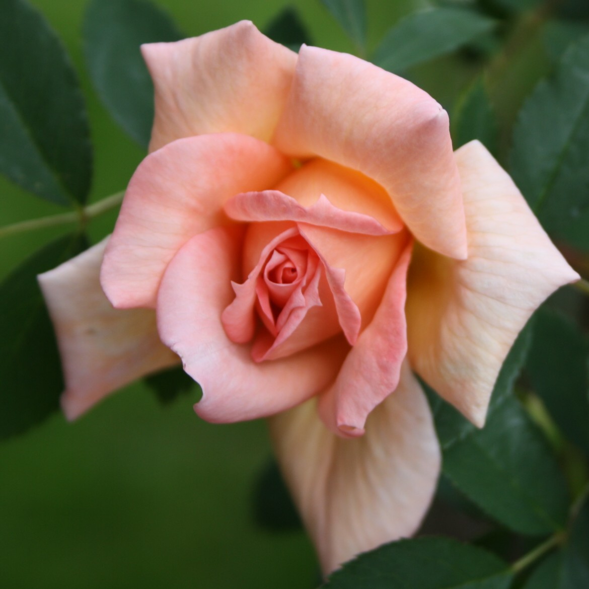 Anja – Bild 3