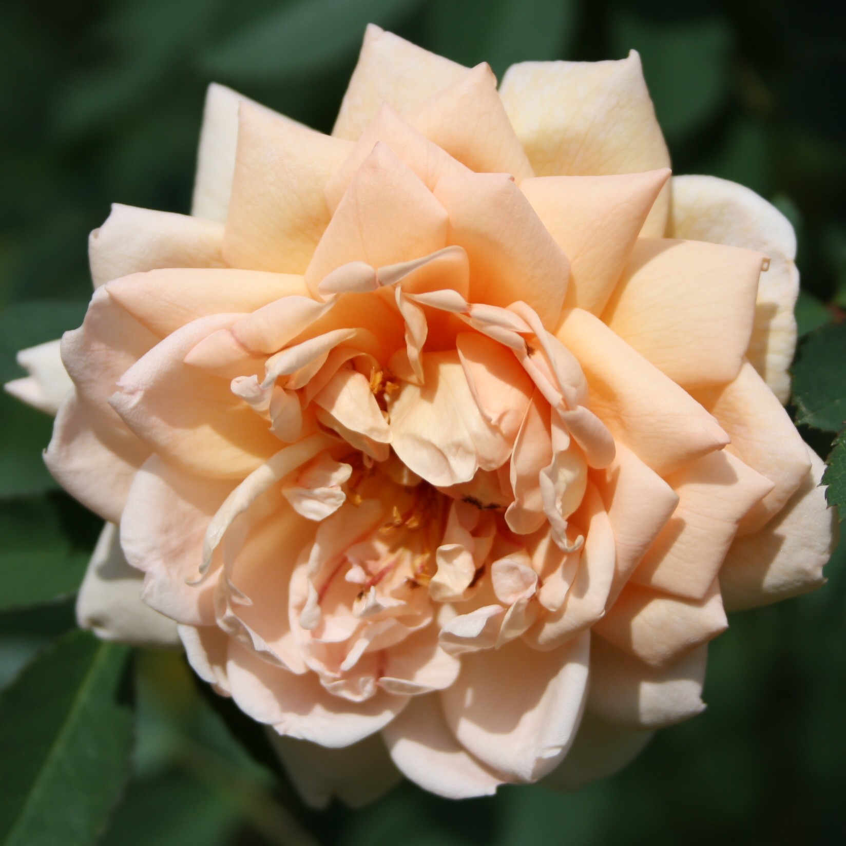 Anja – Bild 5