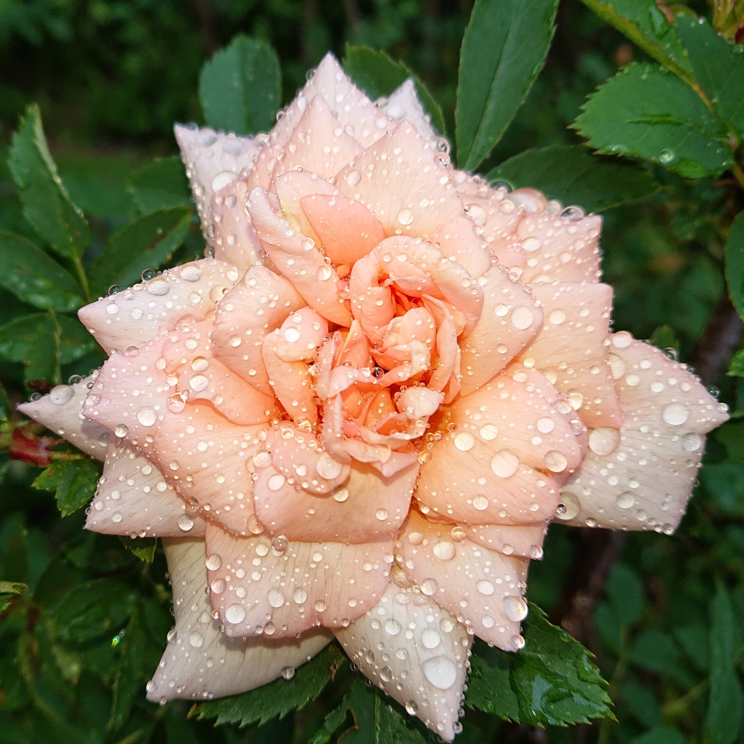 Anja – Bild 8