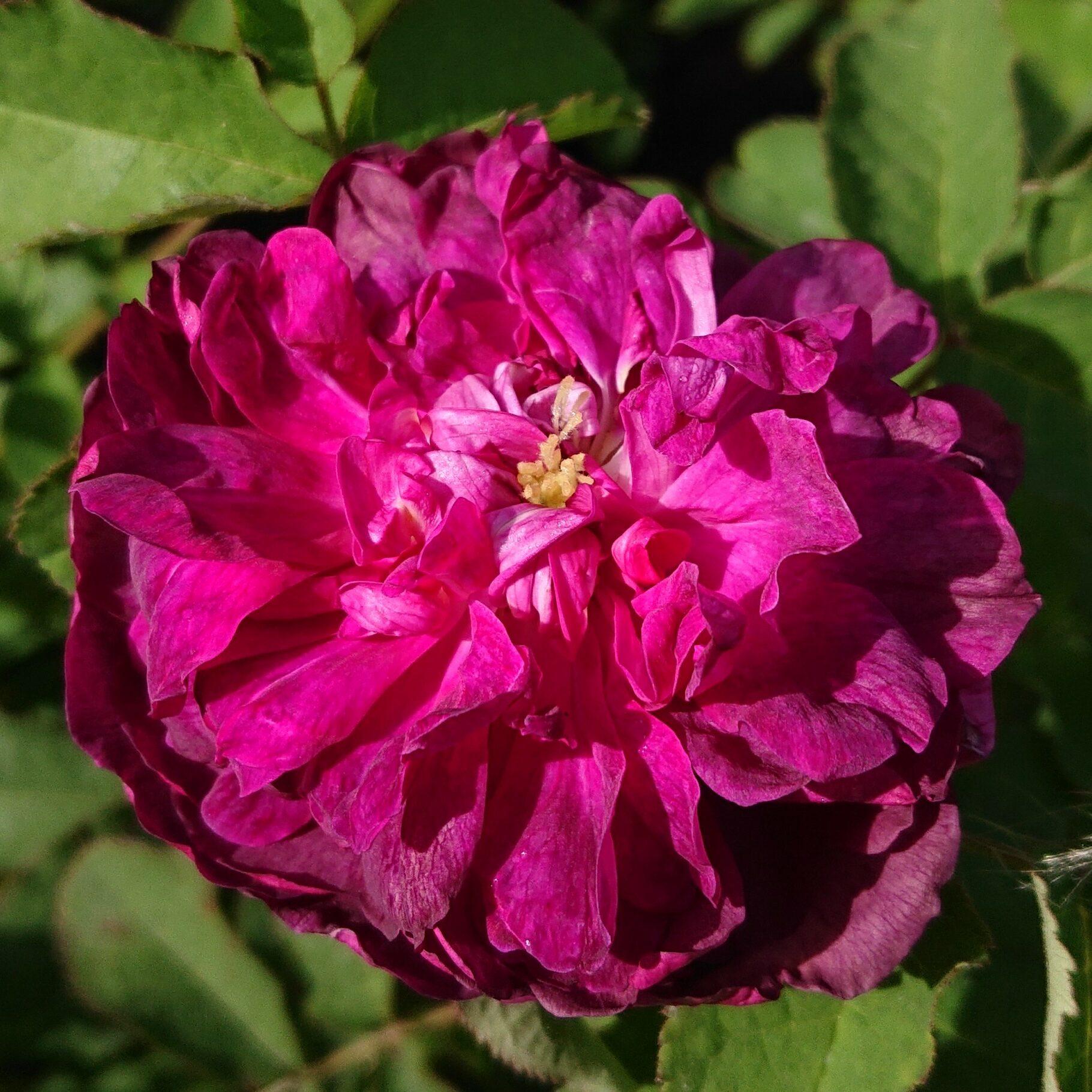 Indigo – Bild 2